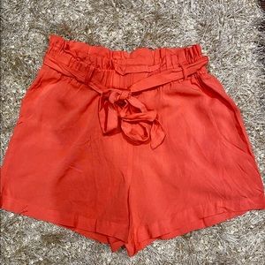 Dizzy Lizzo Shorts